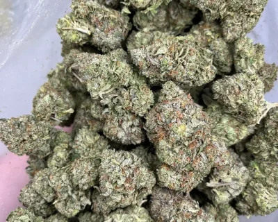 PINK BOMB (MEGA GAS) - Image 2